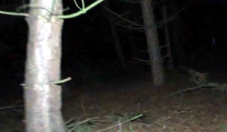 assombracao destaque