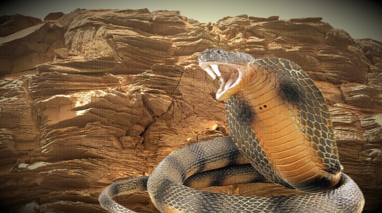 imagem-mostra-uma-cobra-ou-tentaculos-no-planeta-vermelho-destaque