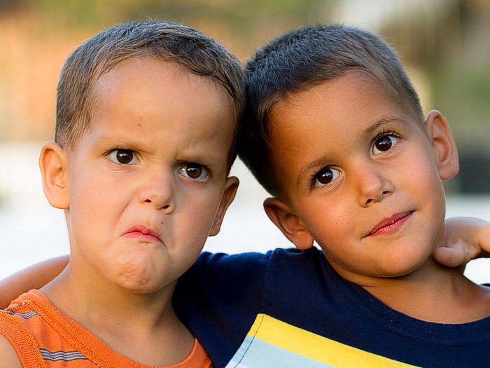 clone4a Clones: Curiosidades divertidas sobre a polêmica clonagem humana