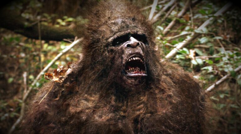 pe grande - Destaque