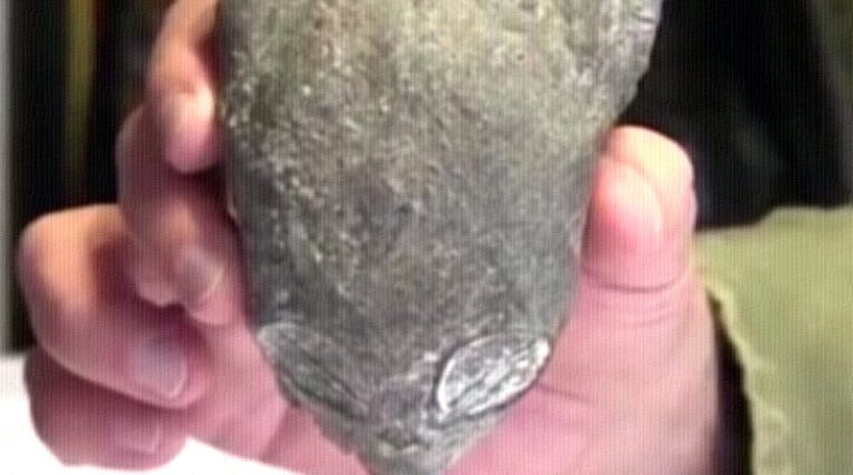 aliens-peru-destaque