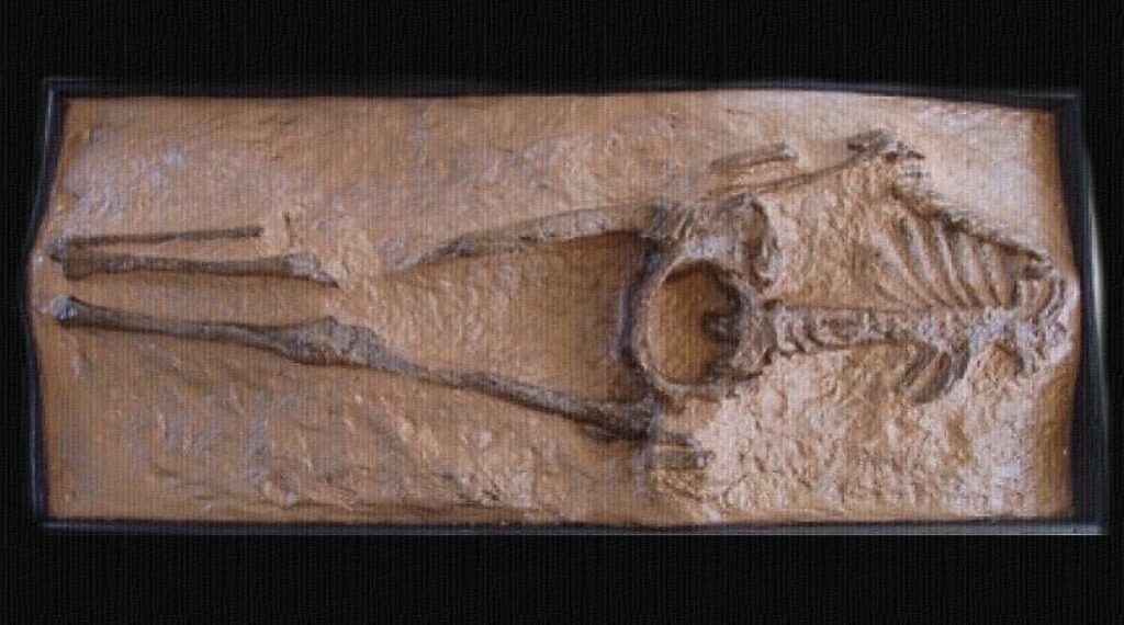 Arqueologia Insólita: A misteriosa descoberta da "Mulher de Guadalupe"