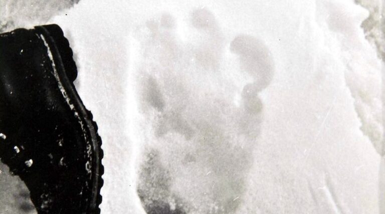 pegada-yeti-destaque