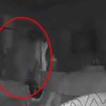 fantasma bebe DESTAQUE