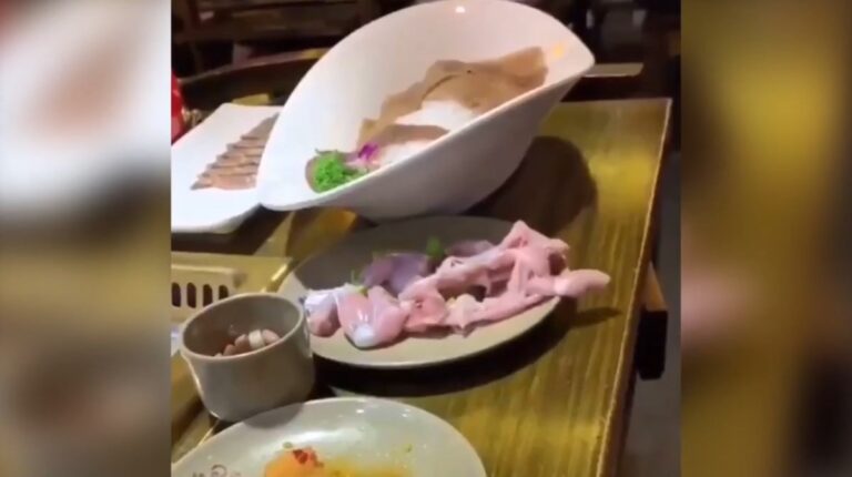 frango zumbi DESTAQUE