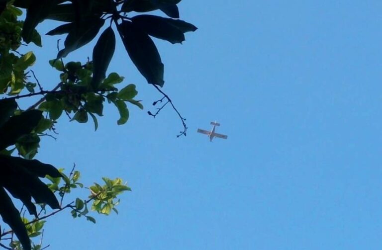 AVIAO-congelado-destaque