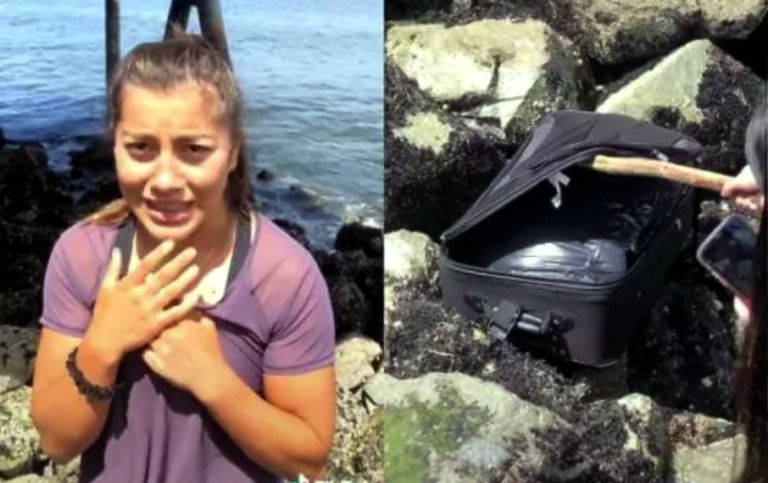 randonautica destaque