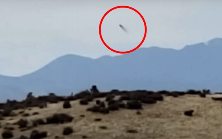 entidade-voadora-destaque