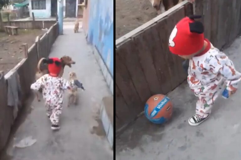 falha-matrix-destaque