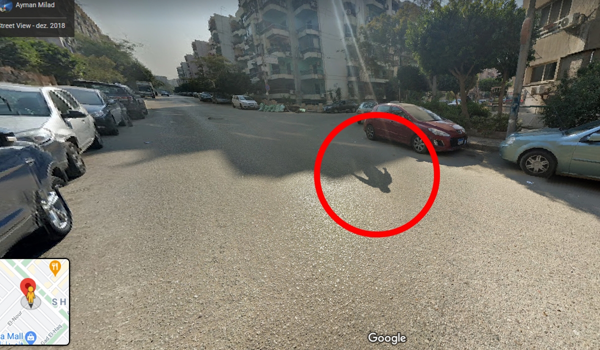 Criatura estranha no meio do mar gelado! #googlemaps #terror