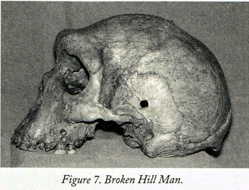 neandertal-1 Alienígenas do Passado: Quem meteu bala nesses Neandertais?