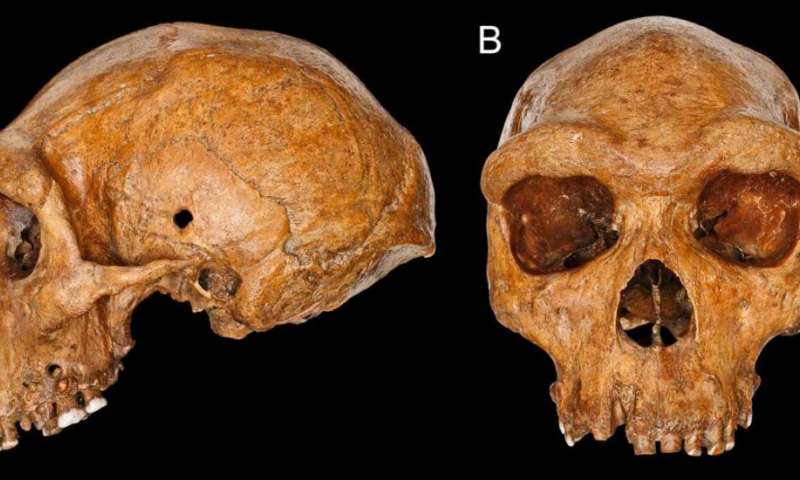 neandertal-2 Alienígenas do Passado: Quem meteu bala nesses Neandertais?