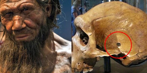 neandertal-destaque-600x300 index