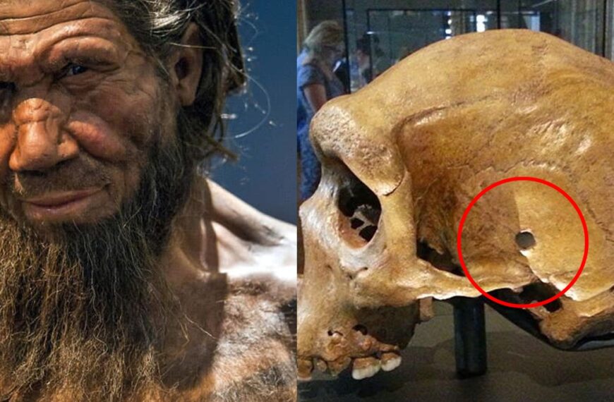 neandertal-destaque-870x570 index