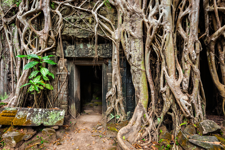 templo4 Lugares Abandonados: Descubra os mistérios do Templo TA PROHM, no Camboja