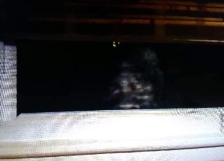 pe-grande-2 Noticias Estranhas: Pé Grande é fotografado espreitando por uma janela  no Colorado