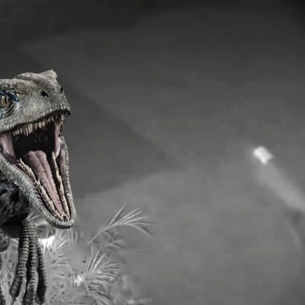 velociraptor-destaque-600x600 index