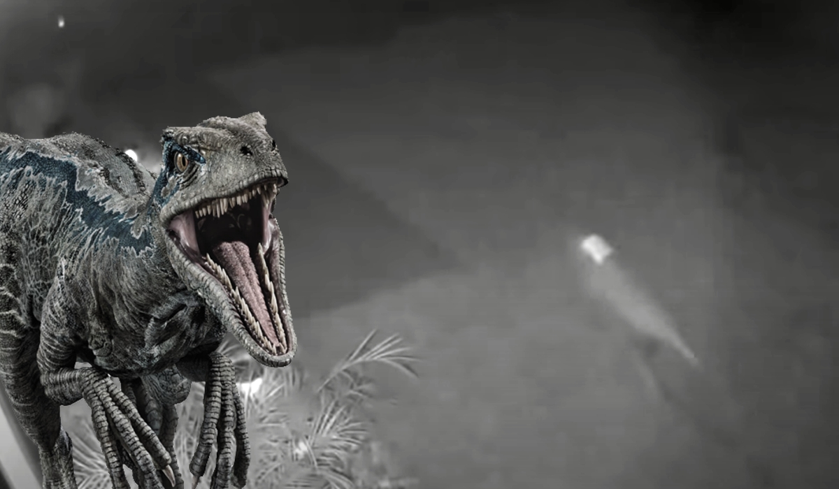 velociraptor-destaque Curiosidades