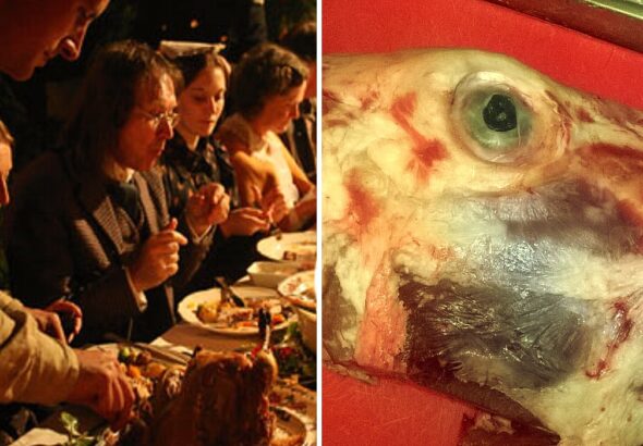 alimentos horriveis destaque