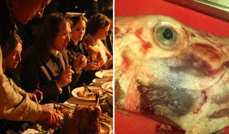 alimentos horriveis destaque